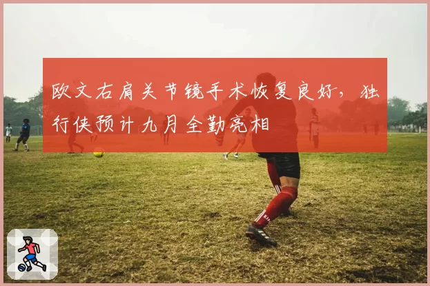 欧文右肩关节镜手术恢复良好，独行侠预计九月全勤亮相