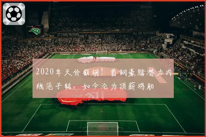 2020年天价截胡！首钢豪赌潜力内线范子铭，如今沦为顶薪鸡肋