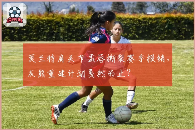 莫兰特肩关节盂唇撕裂赛季报销，灰熊重建计划戛然而止？