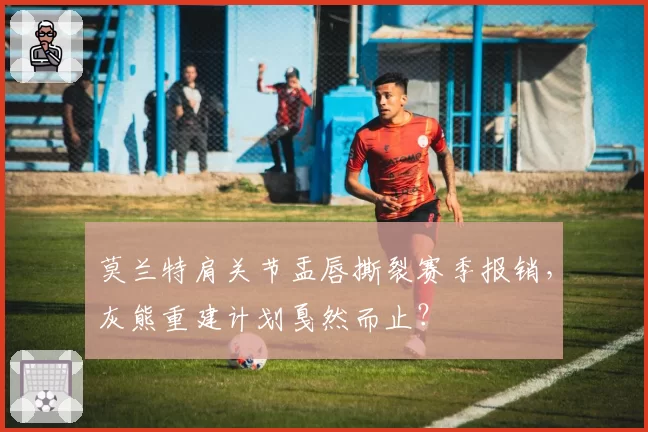 莫兰特肩关节盂唇撕裂赛季报销，灰熊重建计划戛然而止？